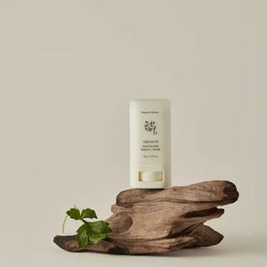 Beauty of Joseon - stick solaire mat : Armoise+Camélia SPF 50+ PA++++ - Rosalinaboutique