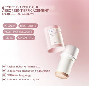 SKIN1004 - masque stick à l'argile porogène à la centella - Rosalinaboutique