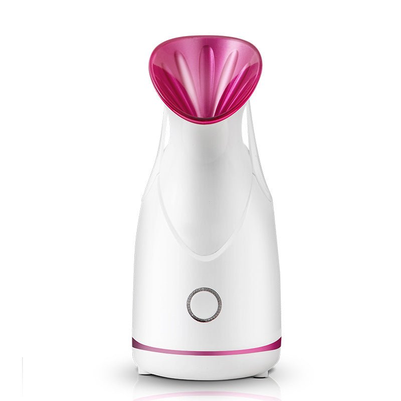 Vaporisateur facial Nano ionique pour le visage - Rosalinaboutique